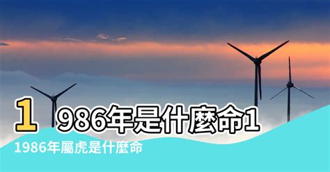 1986年屬|1986年屬虎是什麼命？最全虎命命相批註！